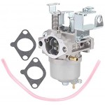 AloneGoer JN6-14101-14 Carburetor Compatible with Yamaha G16 G17 G18 G19 G20 1996-2002 4-Cycle Golf Car JN6-14101-15 JN6-13567-00 JN3-14101-00